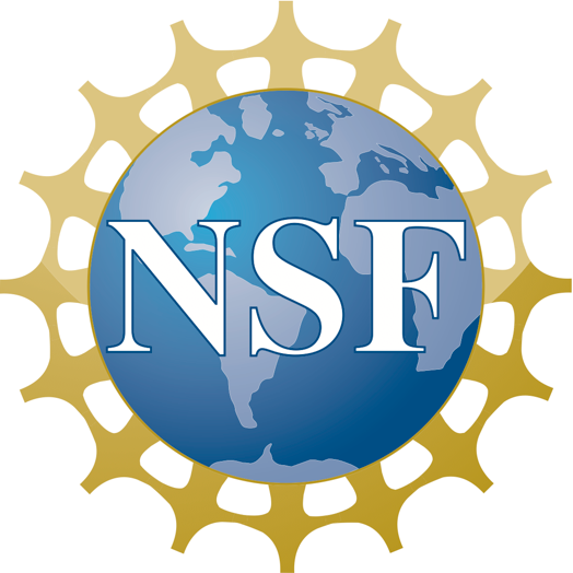 logo NSF